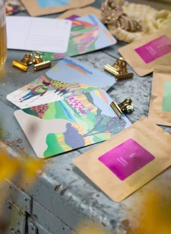 Hot Aftelkalender Zomer Thee Theepakket | Zomerse Thee Cadeaus