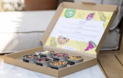 Online Brievenbus cadeau IJsthee Theepakket | Zomerse Thee Cadeaus