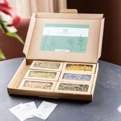 Fashion Brievenbus cadeau kruidenthee groot Theepakket | Saliethee
