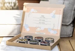 Clearance Brievenbus cadeau Zomerfeest Theepakket | Zomerse Thee Cadeaus