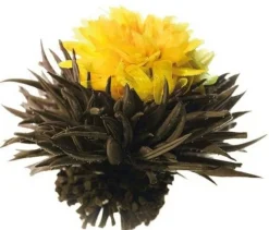 Discount Goudsbloem - Theebloem Theebloemen | Goudsbloem Thee