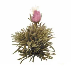 Outlet Jewel Droplet - Theebloemen Theebloemen | Rozenthee