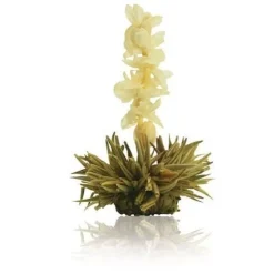 Outlet Jewel Droplet - Theebloemen Theebloemen | Rozenthee