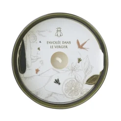 Fashion La Rochere Bougie Abeille Vijg La Rochère Theeglas En Glaswerk