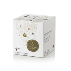 Fashion La Rochere Bougie Abeille Vijg La Rochère Theeglas En Glaswerk