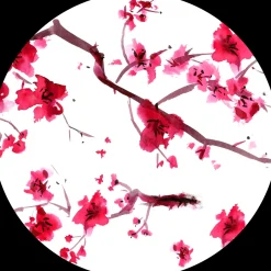 Outlet Leeza Drinkfles Cherry Blossom 500ml RVS Thermosflessen Leeza To-Go