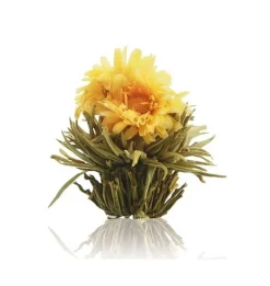 New Solstice - Theebloem Theebloemen | Goudsbloem Thee