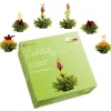 New Theebloem box a 6st groene thee Theebloemen | Vaderdag