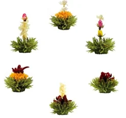 New Theebloem box a 6st groene thee Theebloemen | Vaderdag