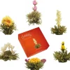 Online Theebloem box a 6st witte thee Theebloemen | Vaderdag
