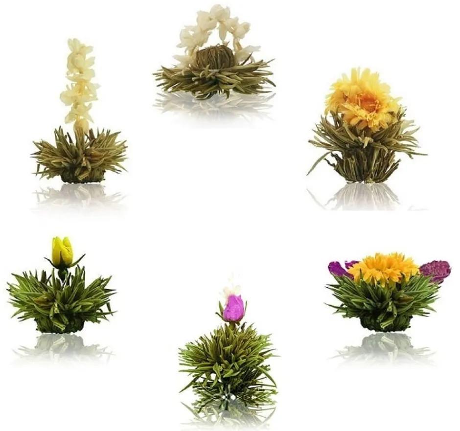 Online Theebloem box a 6st witte thee Theebloemen | Vaderdag