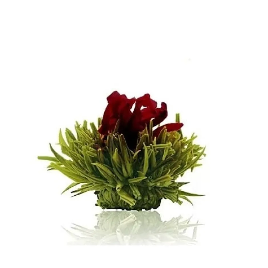 Hot Theebloem Lemon Theebloemen