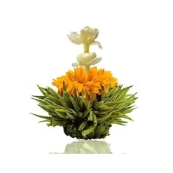 Sale Theebloem Peach Theebloemen