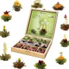 Best Theebloem presentatieset Theebloemen | Theepakket