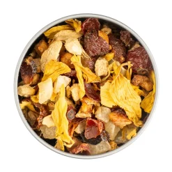 Hot Tropisch Fruit IJsthee | Vruchtenthee