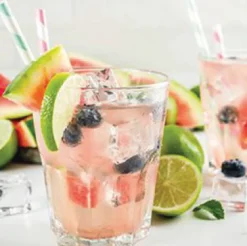 Clearance Watermelon Mint vruchtenthee IJsthee