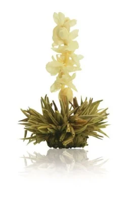 Sale White Affair - Theebloem Theebloemen | Jasmijn Thee
