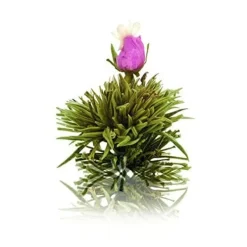 Sale White Affair - Theebloem Theebloemen | Jasmijn Thee